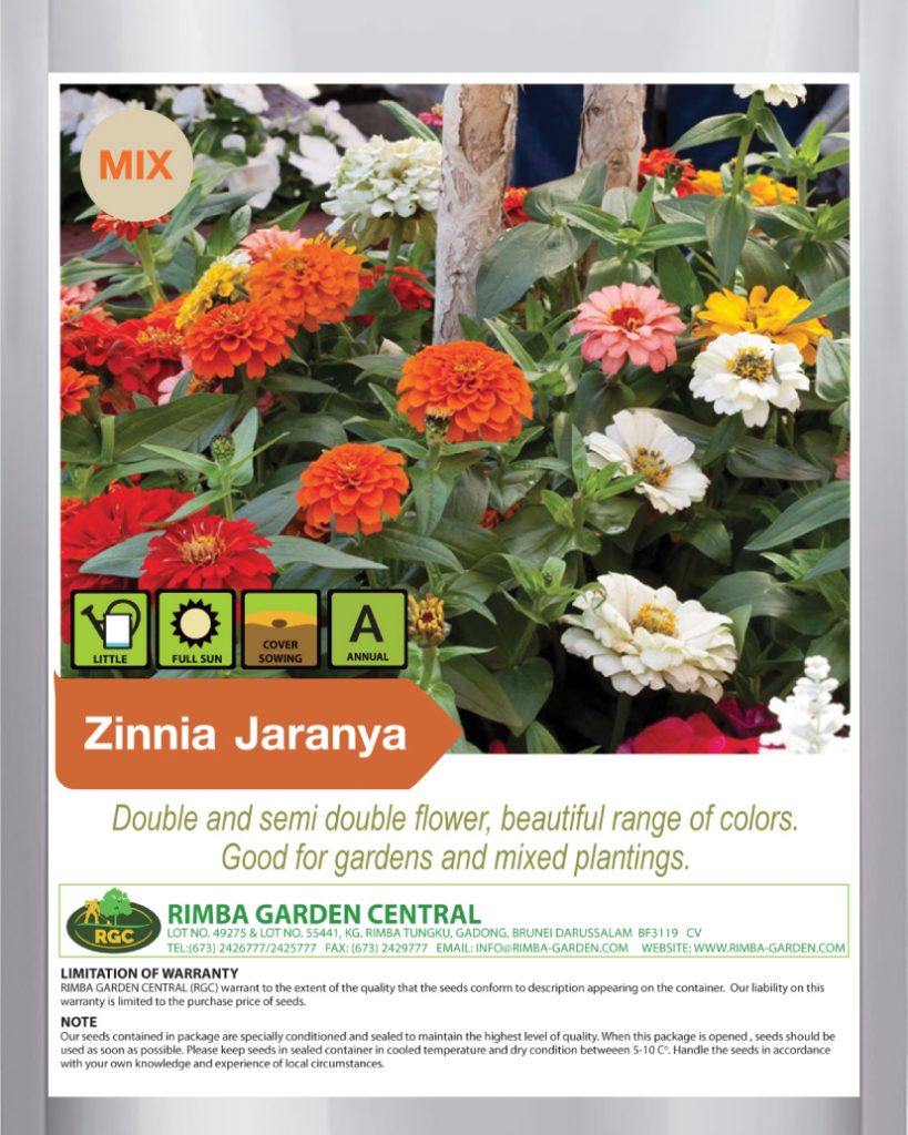 Celosia Castle Mix Rimba Garden Central